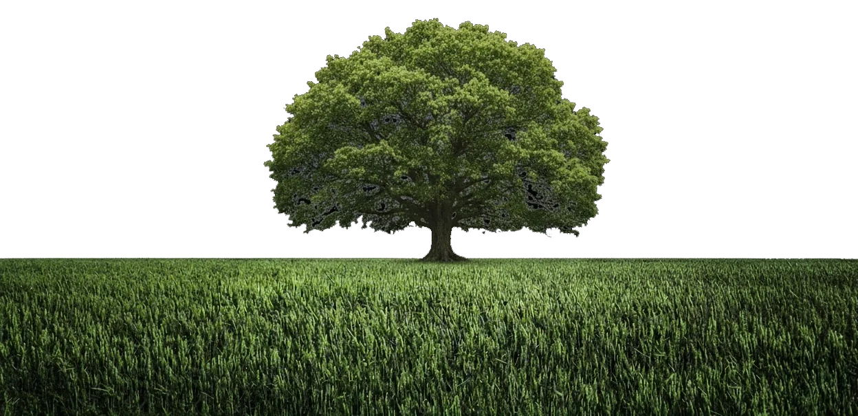 Tree of Life